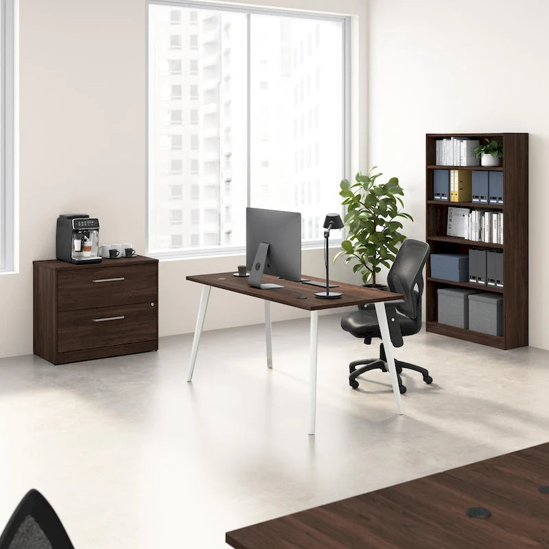 2 Drawer Lateral File Cabinet