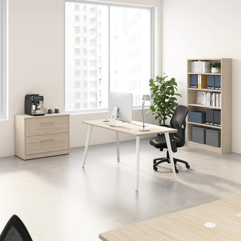 2 Drawer Lateral File Cabinet
